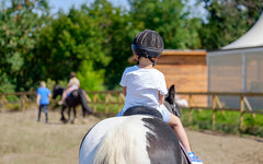 Horse Back Riding