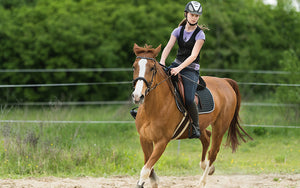 Horse Back Riding