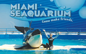 Seaquarium